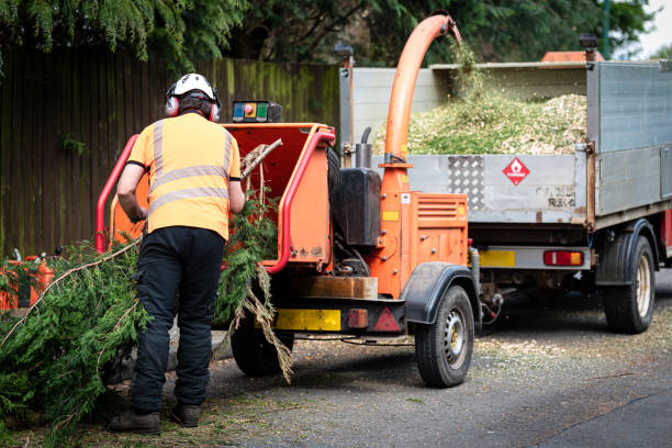 Tree Service Company in Smyrna, GA